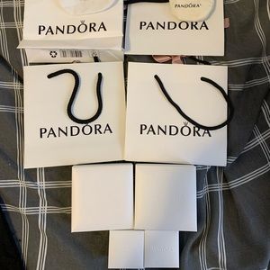 Pandora gift bags and jewelry boxes
